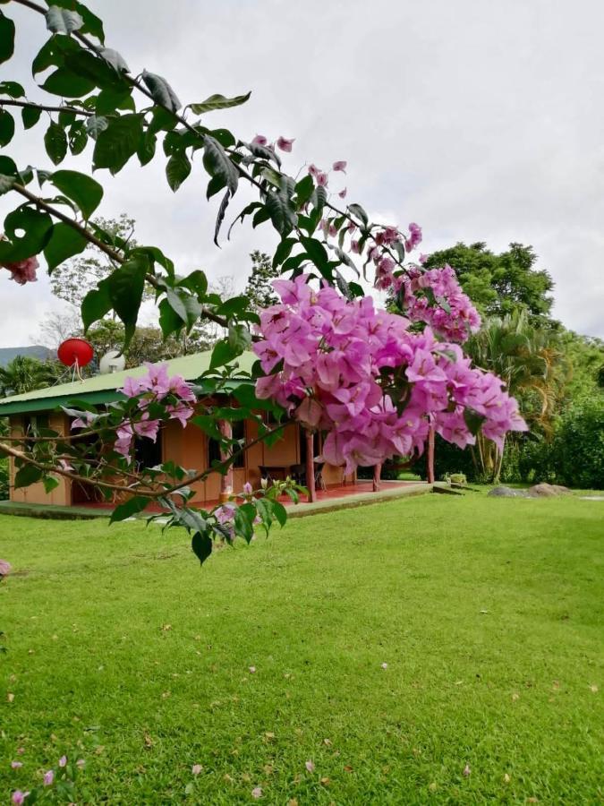 הוילה ביחגואה Casita El Jardin מראה חיצוני תמונה