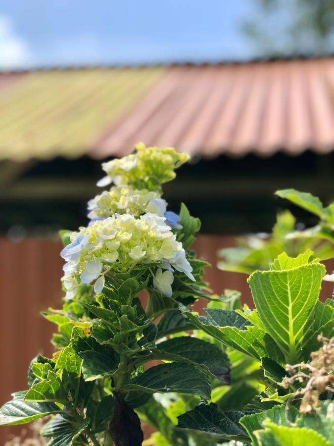 הוילה ביחגואה Casita El Jardin מראה חיצוני תמונה